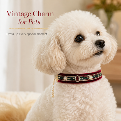Vintage Velvet Pearl Pet Collar — view 6