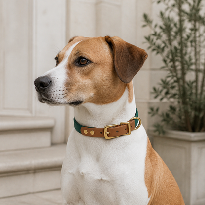 Meridian Dog Collar — Moss Reserve — view 2