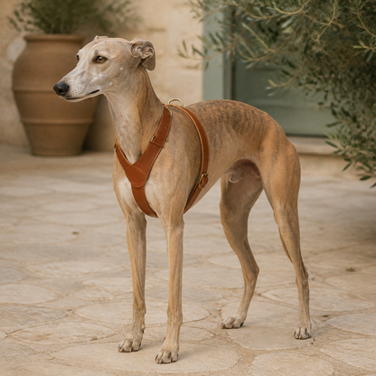 Siena Heritage Leather Y-Harness — view 2