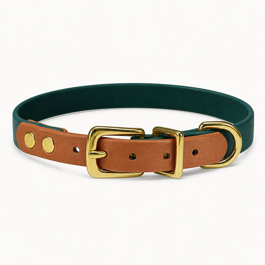 Meridian Dog Collar — Moss Reserve — view 1