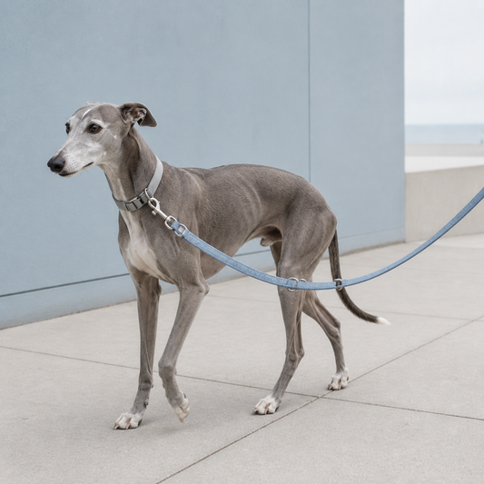 Aegean Mist Multi-Way Leash — view 2