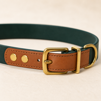 Meridian Dog Collar — Moss Reserve — view 3